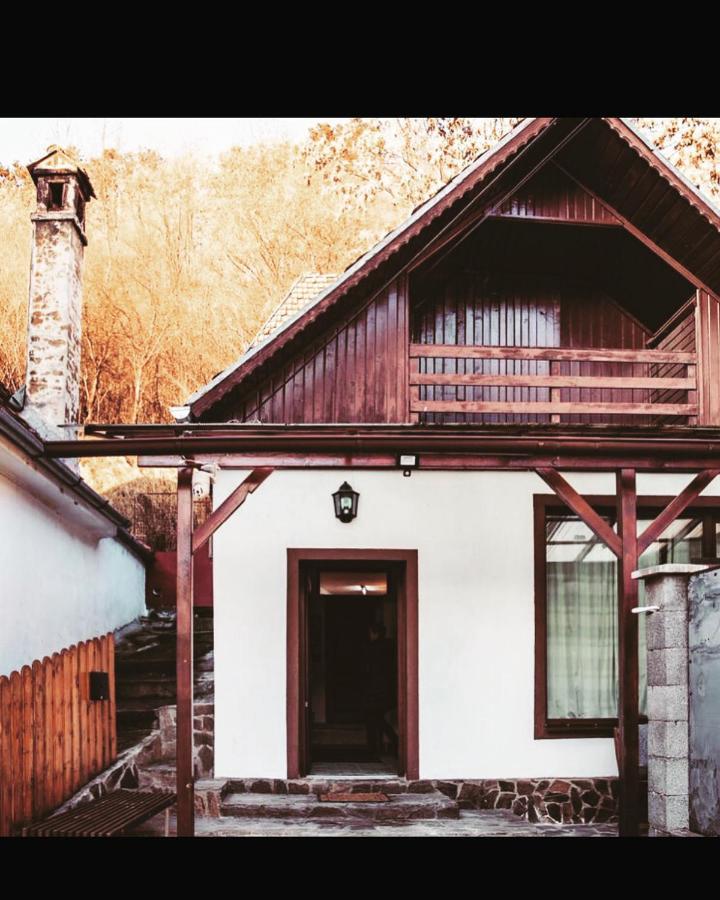 Sedra House Villa Сигишоара Екстериор снимка